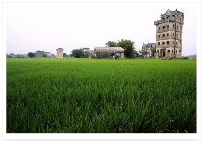 In Rice Fields _лPM