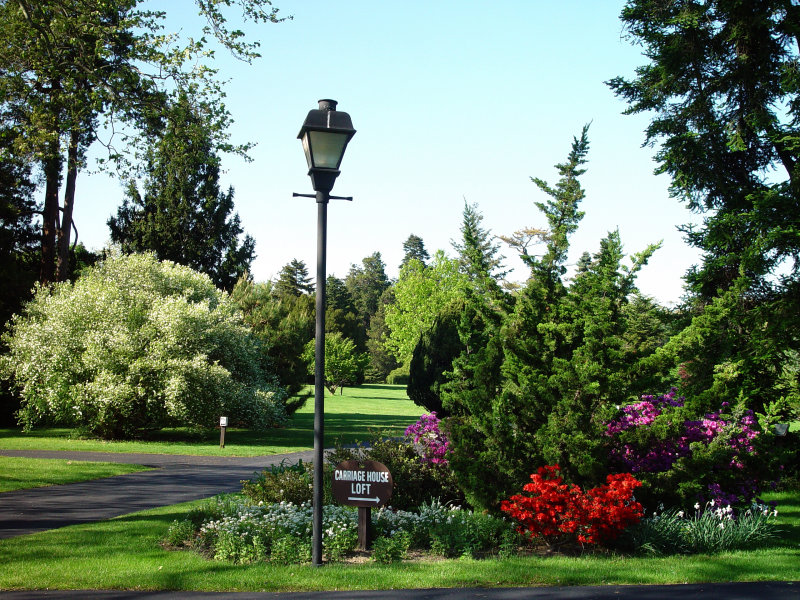 Bayard Cutting Arboretum