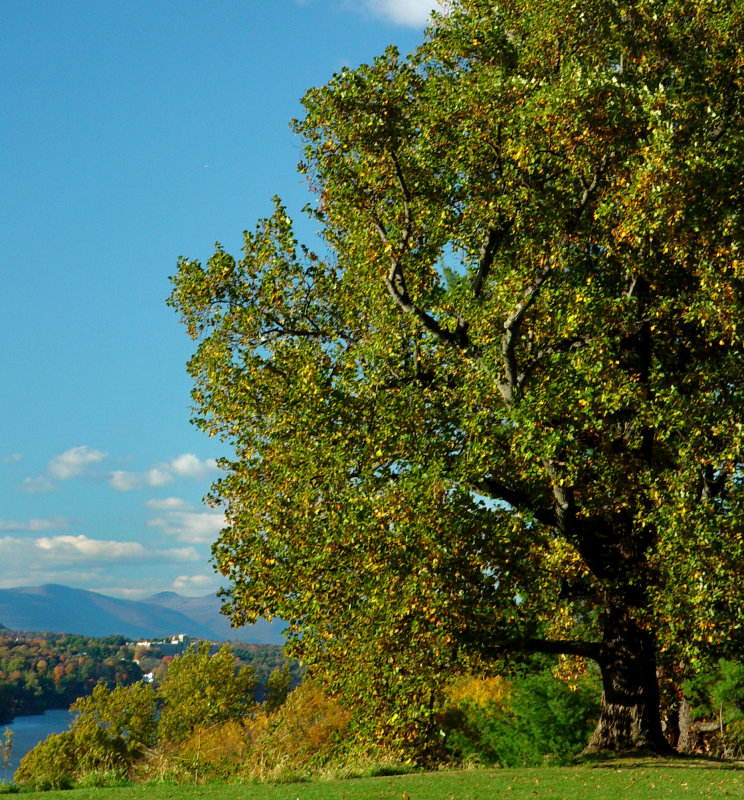 View From the Vanderbilt Mansion, Hyde Park, NY