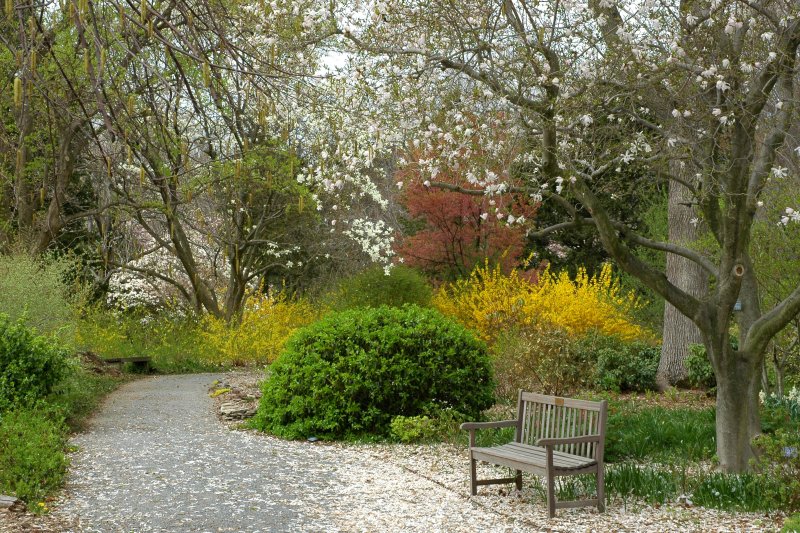 Planting Fields Arboretum