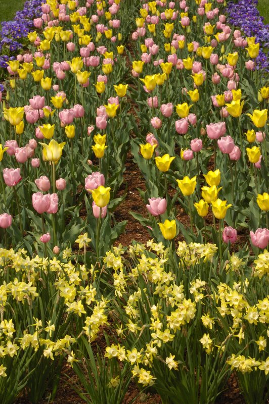 New York Botanical Garden