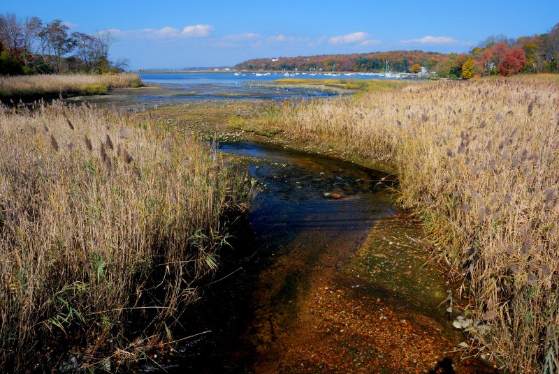 Cold Spring Harbor, NY