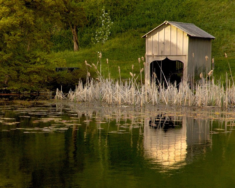 Cedarmere