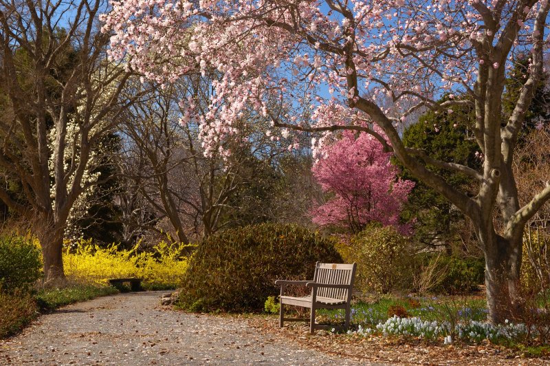 Planting Fields Arboretum