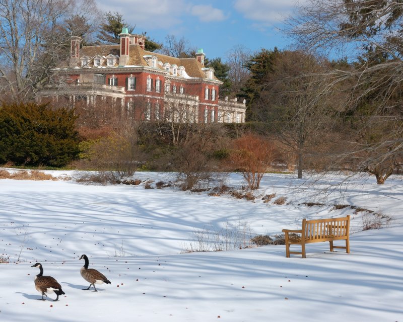 Old Westbury Gardens