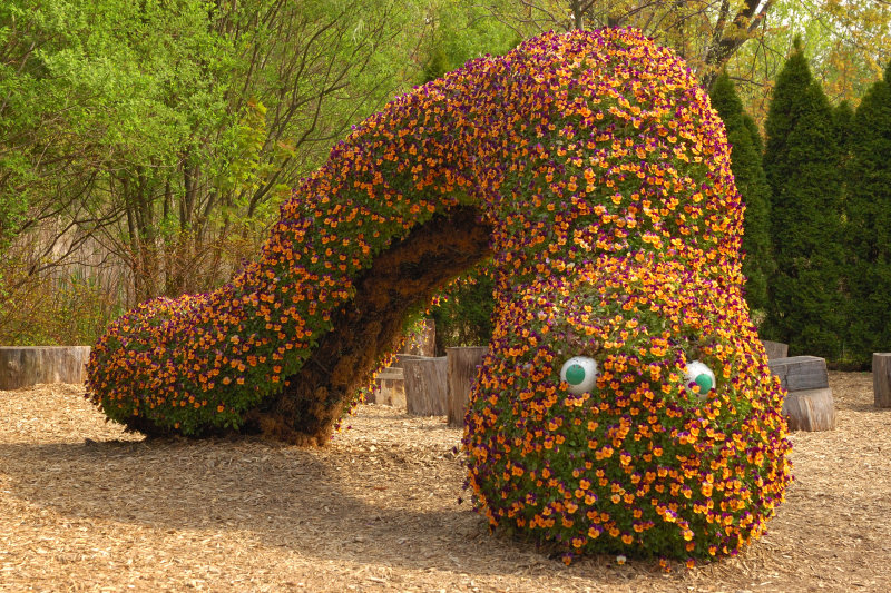 New York Botanical Garden