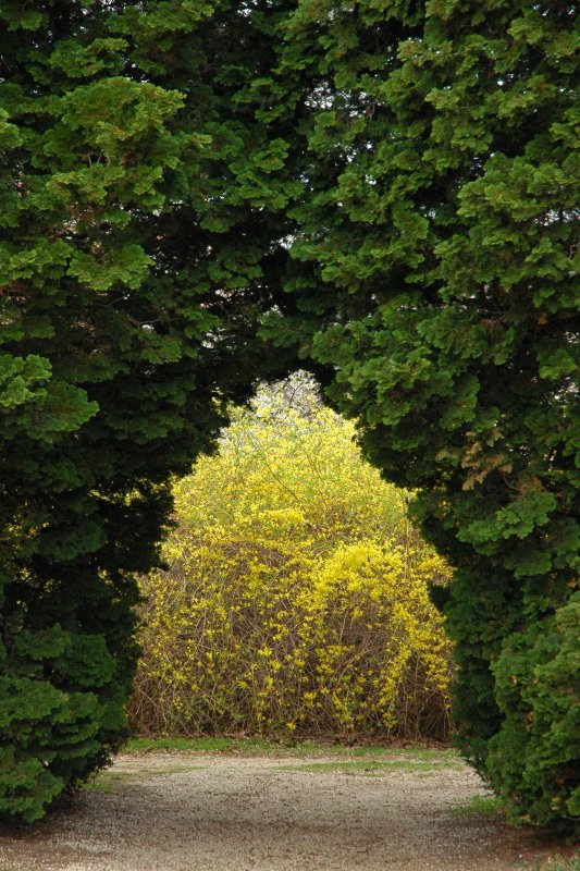 Planting Fields Arboretum