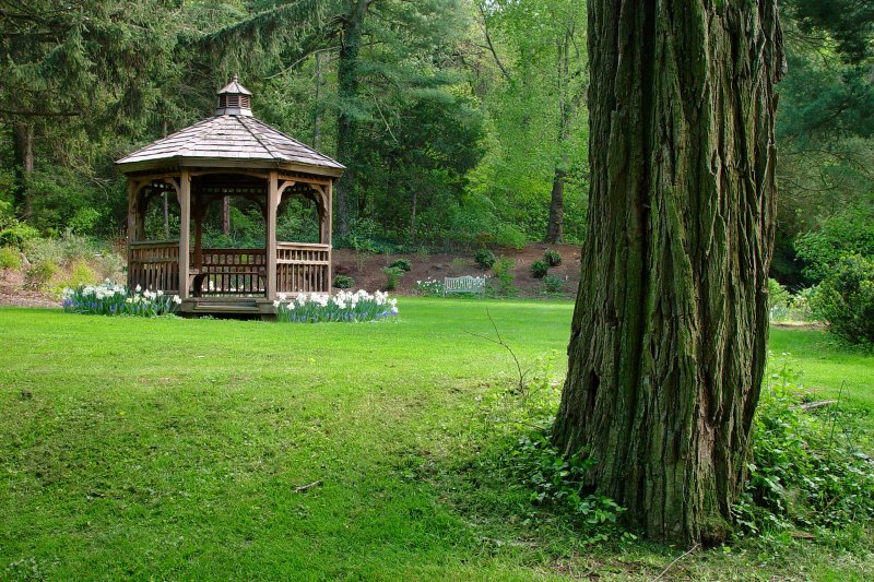 Bailey Arboretum