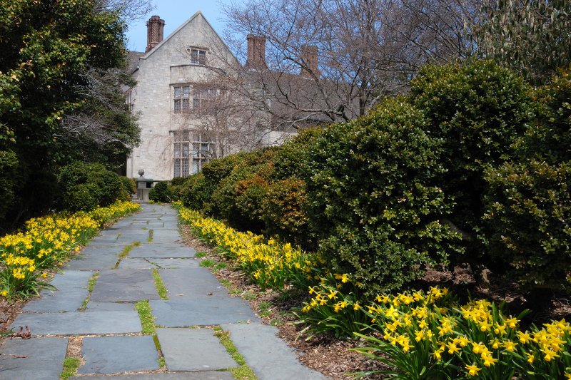 Planting Fields Arboretum