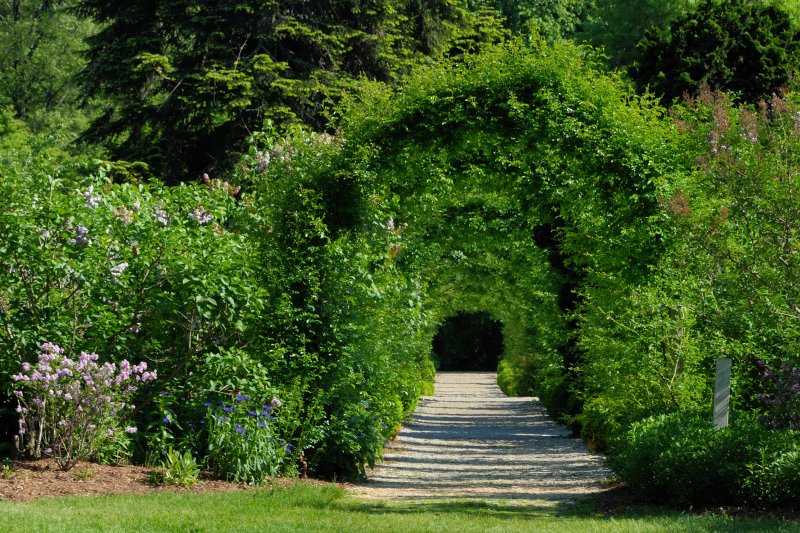 Planting Fields Arboretum