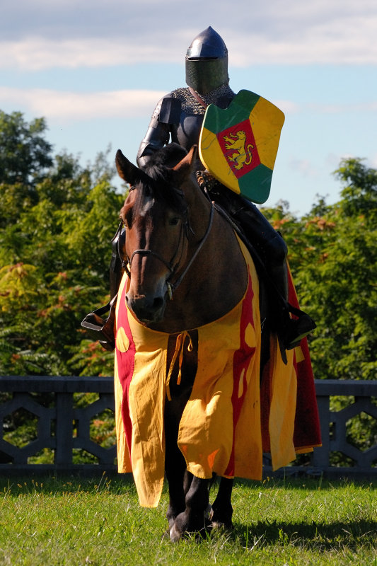 Medieval Festival 07