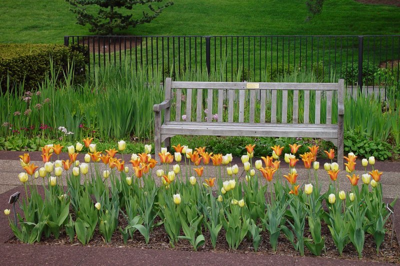 New York Botanical Garden