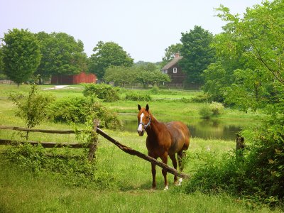 Don't Fence Me In