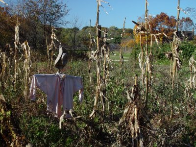 Scarecrow - Old Bethpage Village Restoration, Long Island, NY