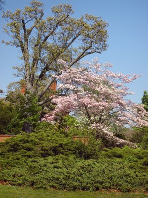 Bayard Cutting Arboretum