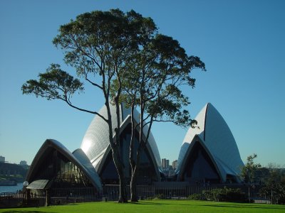 A Different View of the Opera House
