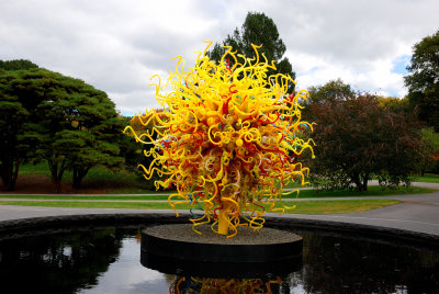 Chihuly at the NYBG