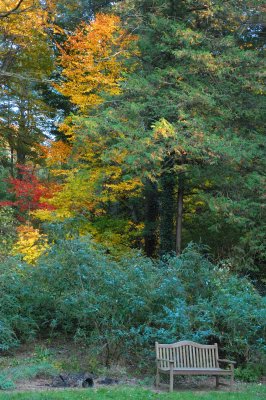 Bailey Arboretum