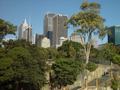 View from the front terrace of the Opera House