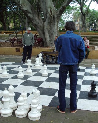 Contemplation - Hyde Park