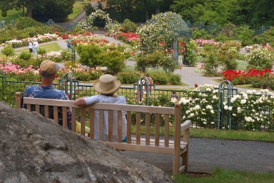 New York Botanical Garden