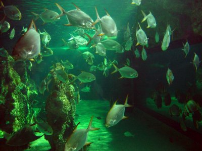 Sydney Aquarium