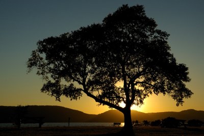 Croton Point Park