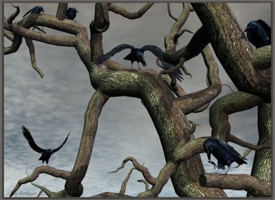 Parliament Meets (closeup of crows)