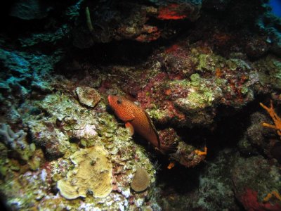g6/21/38121/3/74687730.8auuKu9Y.jpg