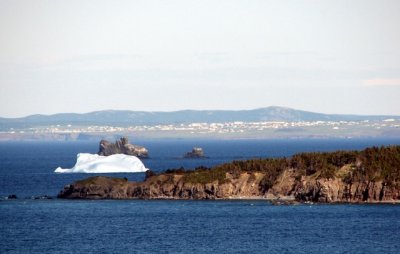 Icebergs!!!