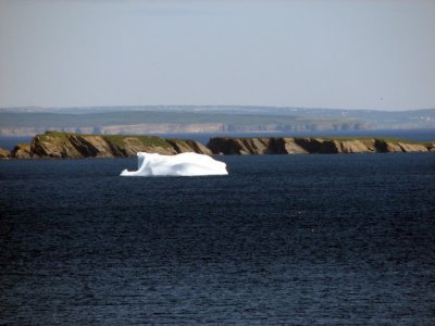 Icebergs 006.jpg