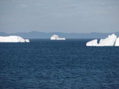 Icebergs 011.jpg