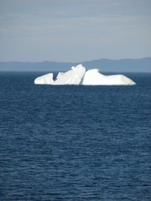 Icebergs 012.jpg