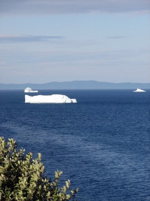 Icebergs 019.jpg