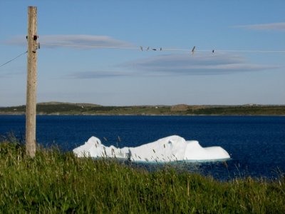 Icebergs 015.jpg