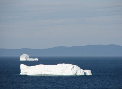 Icebergs 022.jpg