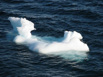 Icebergs 029.jpg