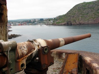 Guarding the harbour