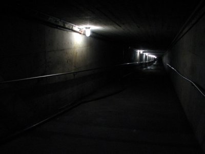 A glimpse into the dark of the coal mine