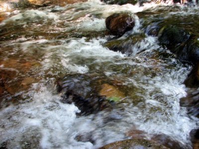 Artistic river shot