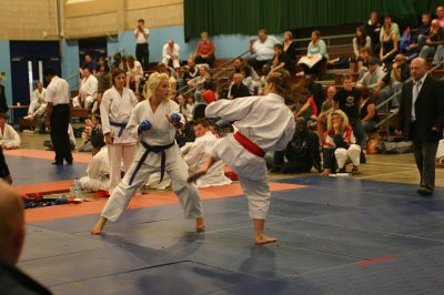 IMG_0248.jpg