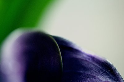 g6/21/405021/3/77113662.r1Jc7845.jpg