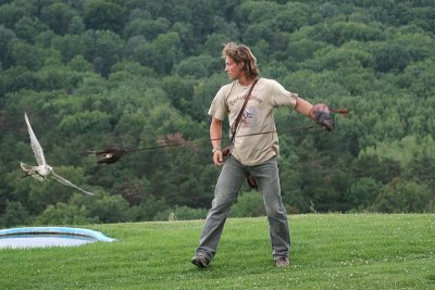 08170234www-mangl-at.jpg