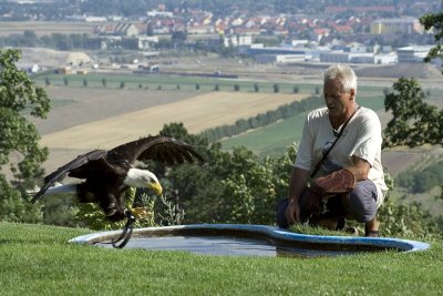 08160320www-mangl-at.jpg