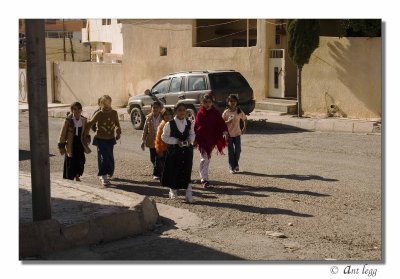 a mob of girls walking the streets with cameras