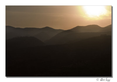 late afternoon light