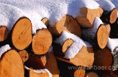 Holz im Schnee (2670)