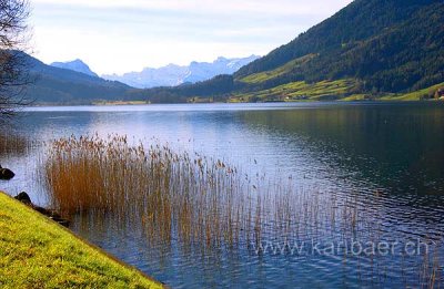 Aegerisee (8044)