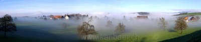 Nebel / Fog (p8270)