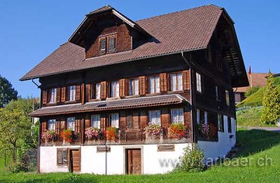 Bauernhaus (4045)